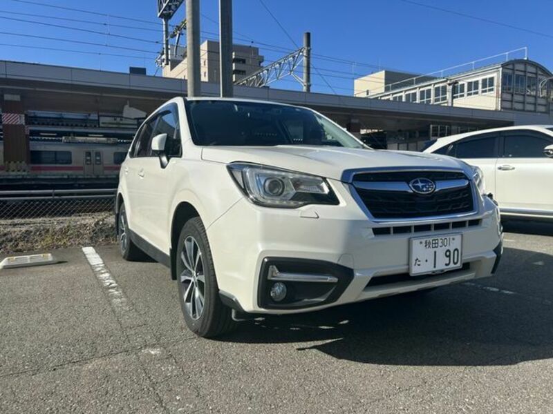 FORESTER-1