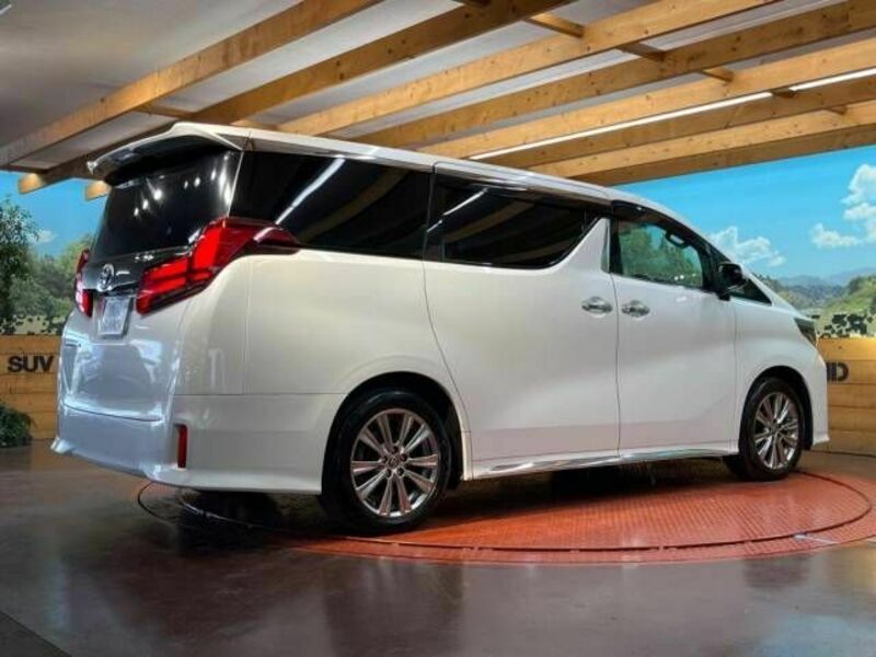 ALPHARD-18