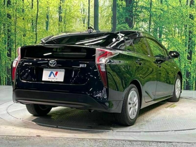 PRIUS-17