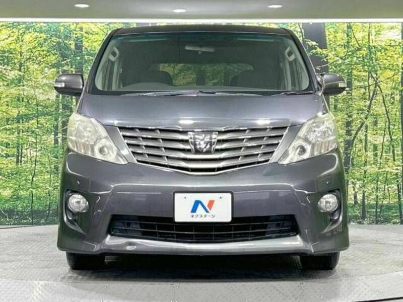 ALPHARD-15