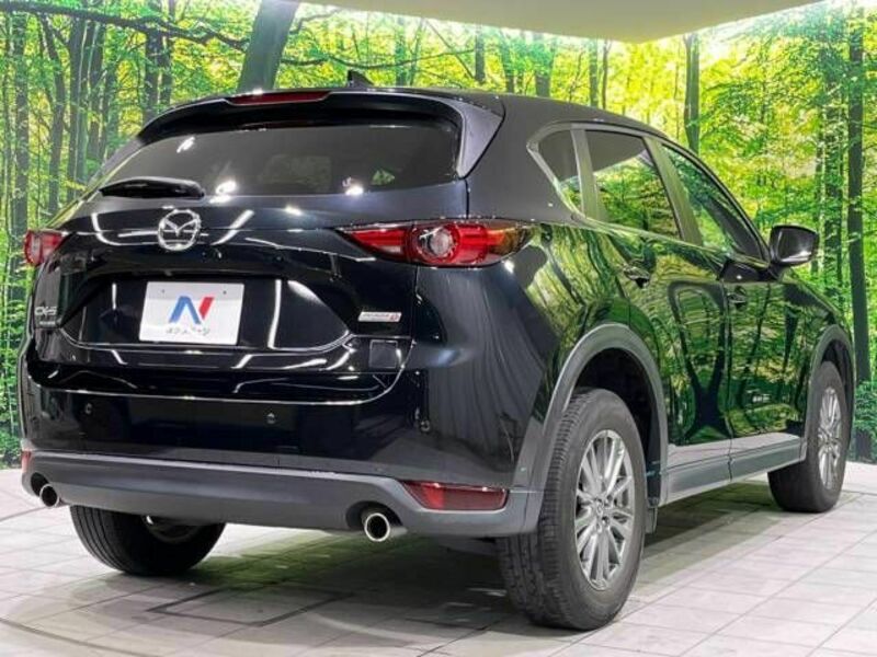 CX-5-17