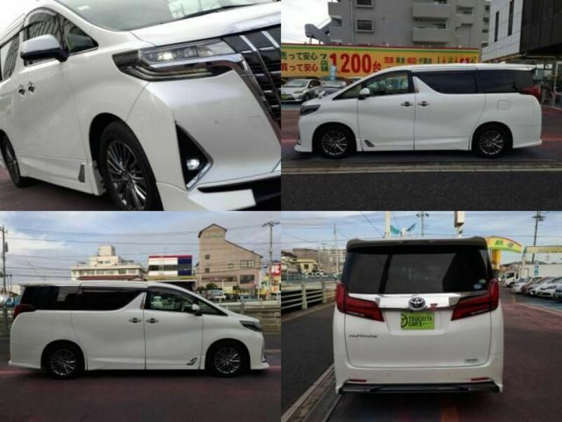 ALPHARD-3