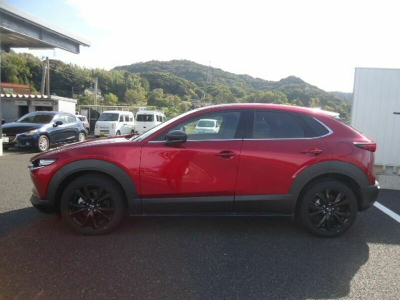 CX-30-6