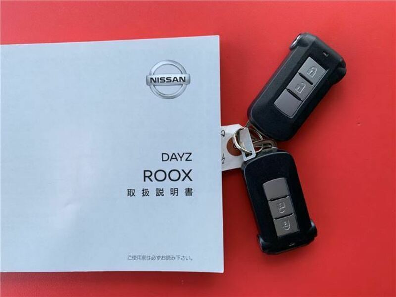 DAYZ ROOX-14