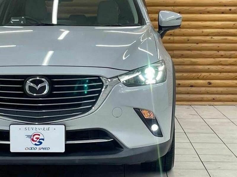 CX-3-10