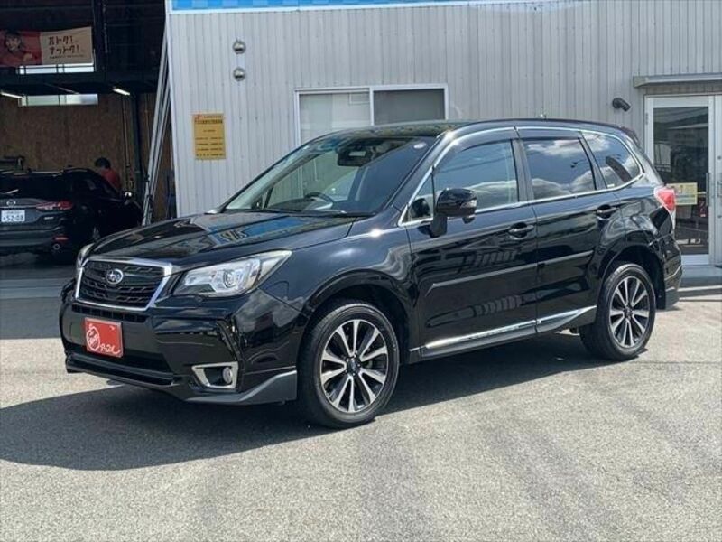 FORESTER-19