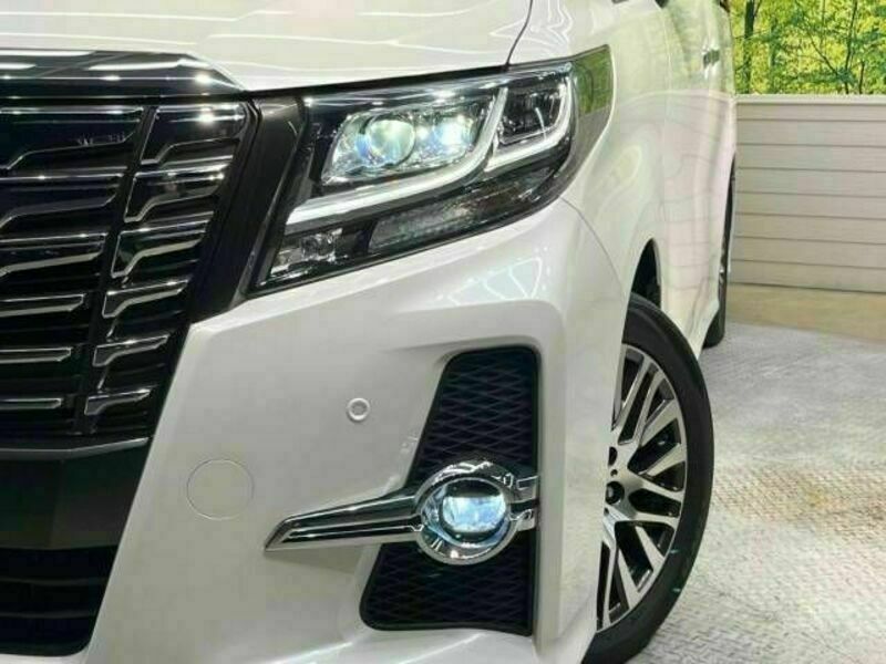 ALPHARD-12