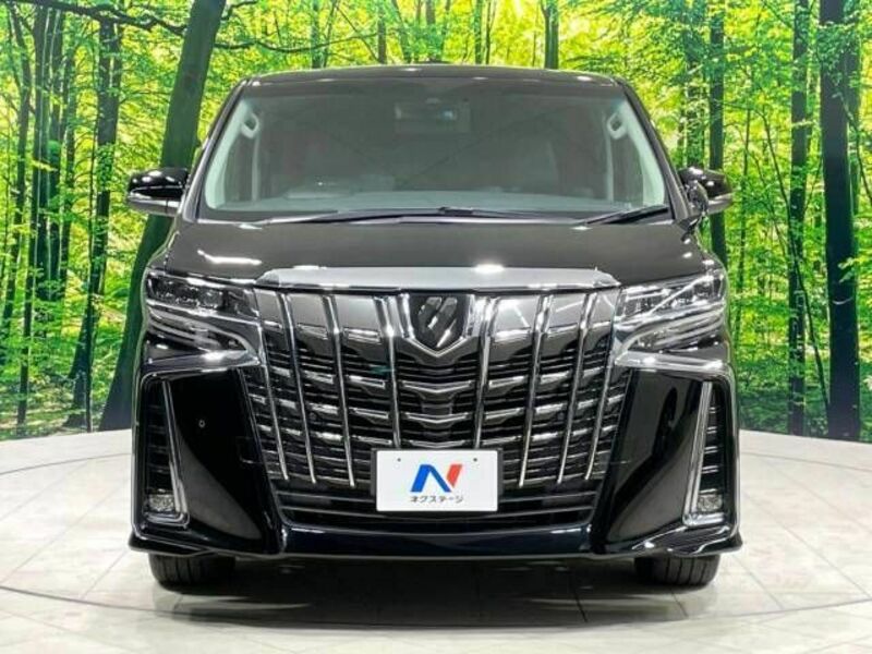 ALPHARD-15