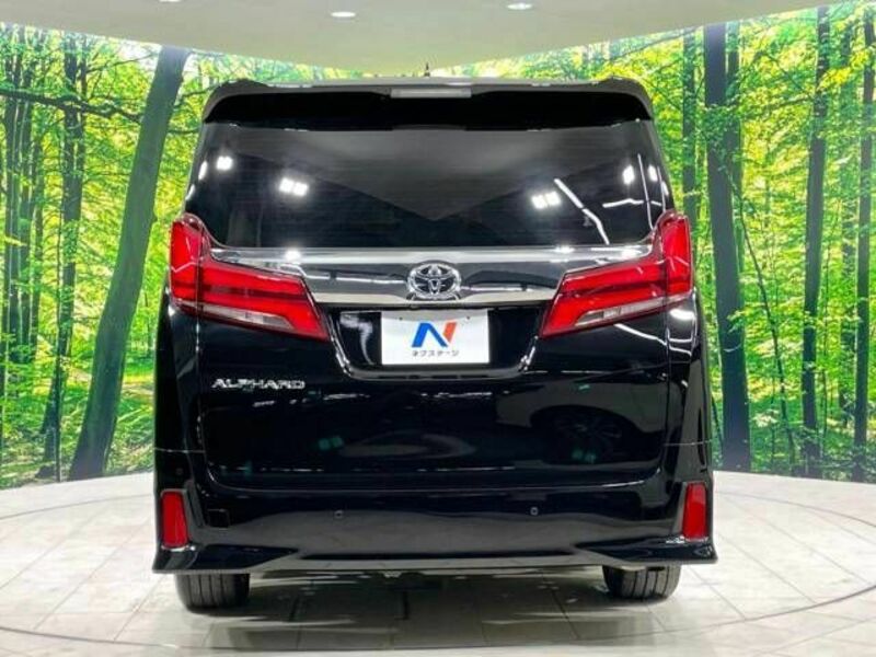 ALPHARD-16