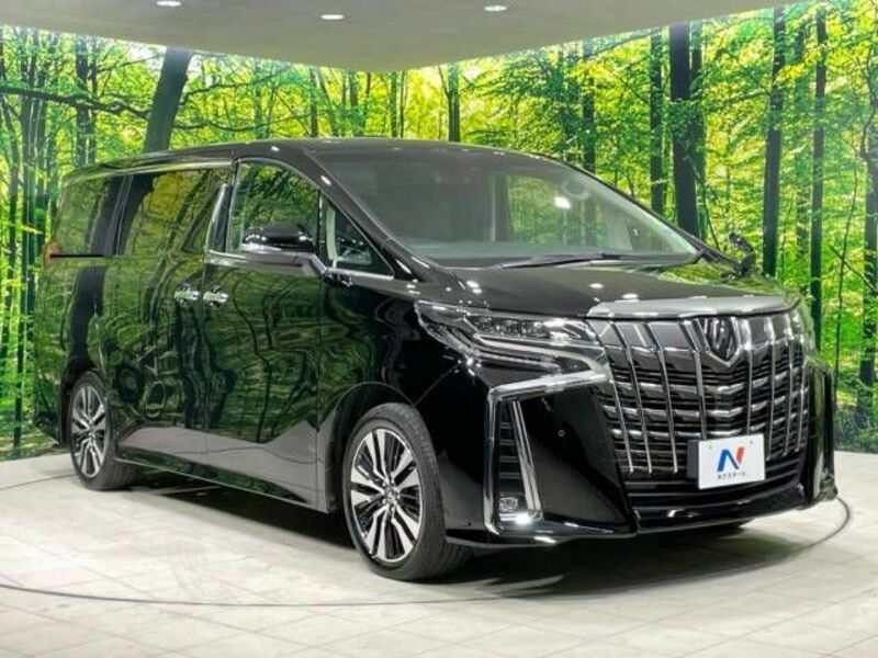 ALPHARD-17