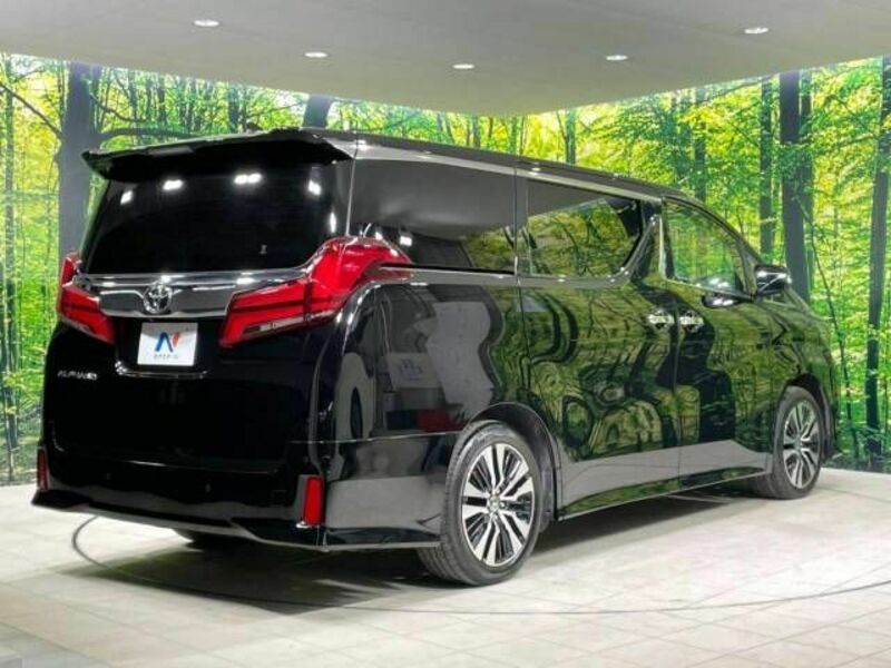 ALPHARD-18