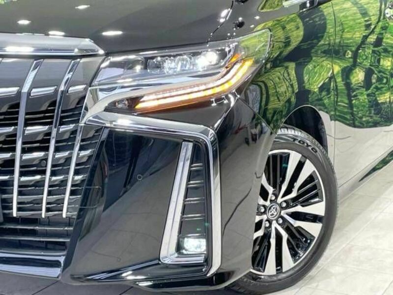 ALPHARD-13