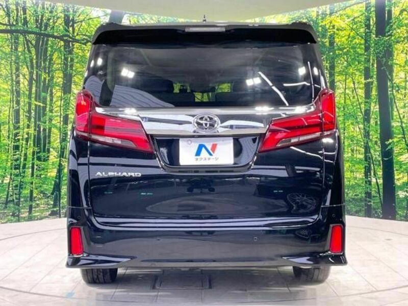 ALPHARD-16