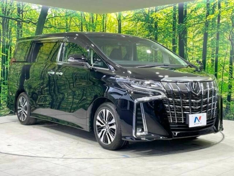 ALPHARD-17