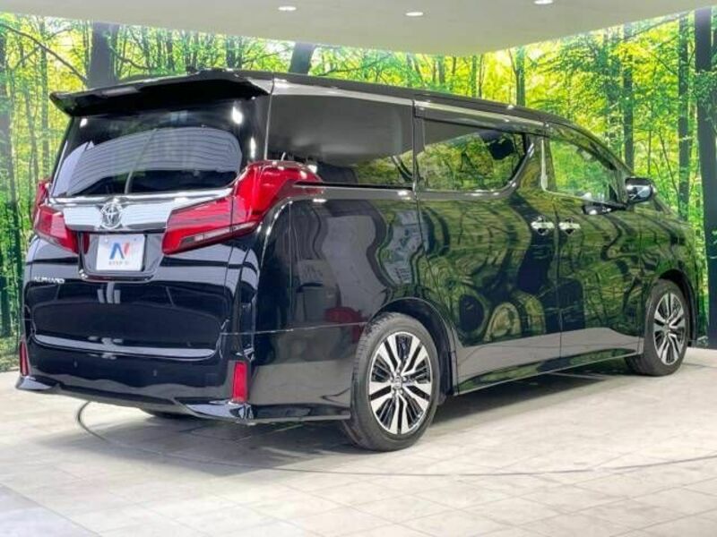 ALPHARD-18