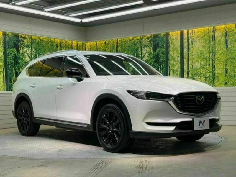 CX-8-17