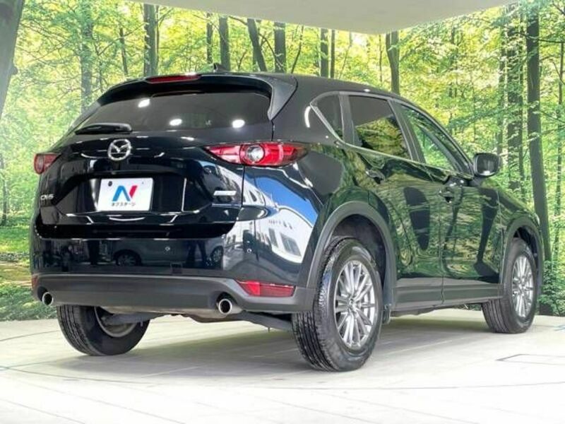 CX-5-17