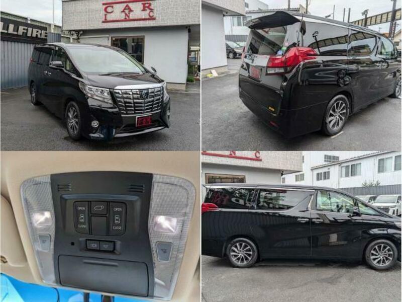 ALPHARD-8