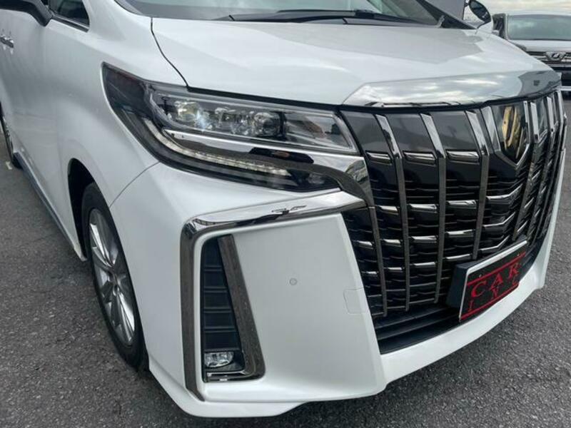 ALPHARD-16