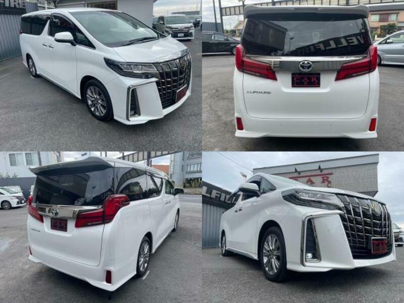 ALPHARD-8