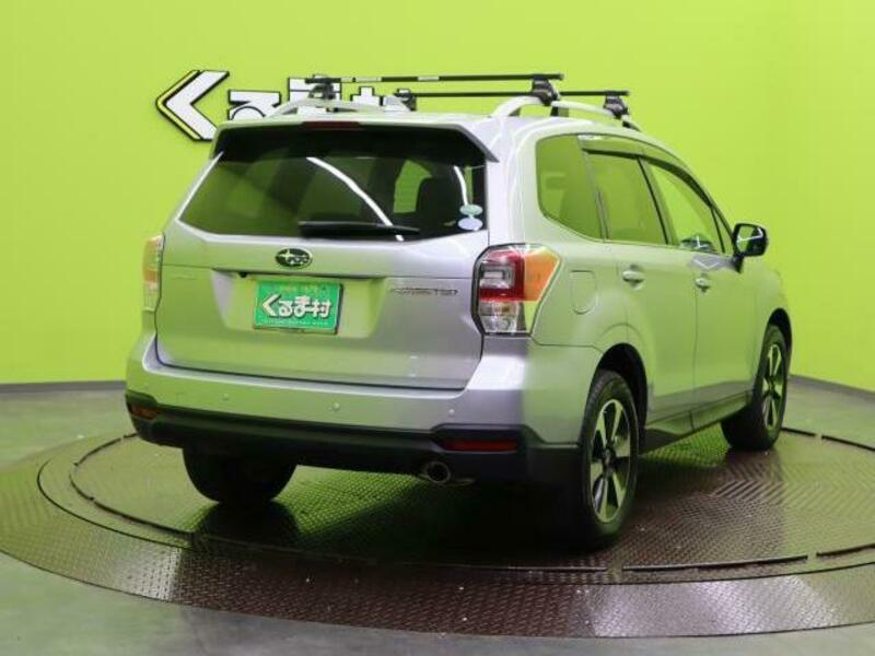 FORESTER-1