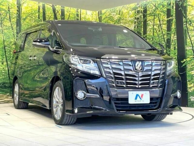 ALPHARD-17