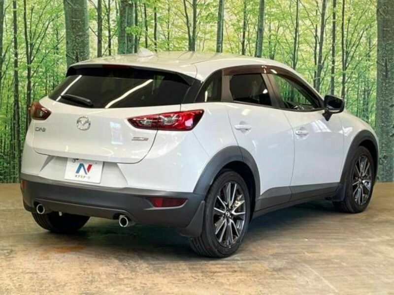 CX-3-17