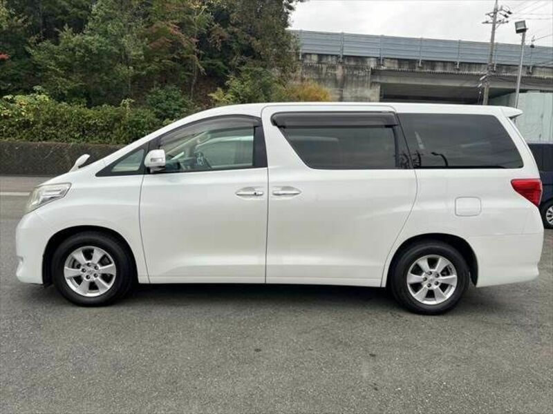 ALPHARD-19