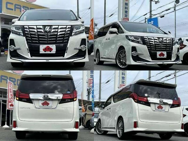 ALPHARD-8