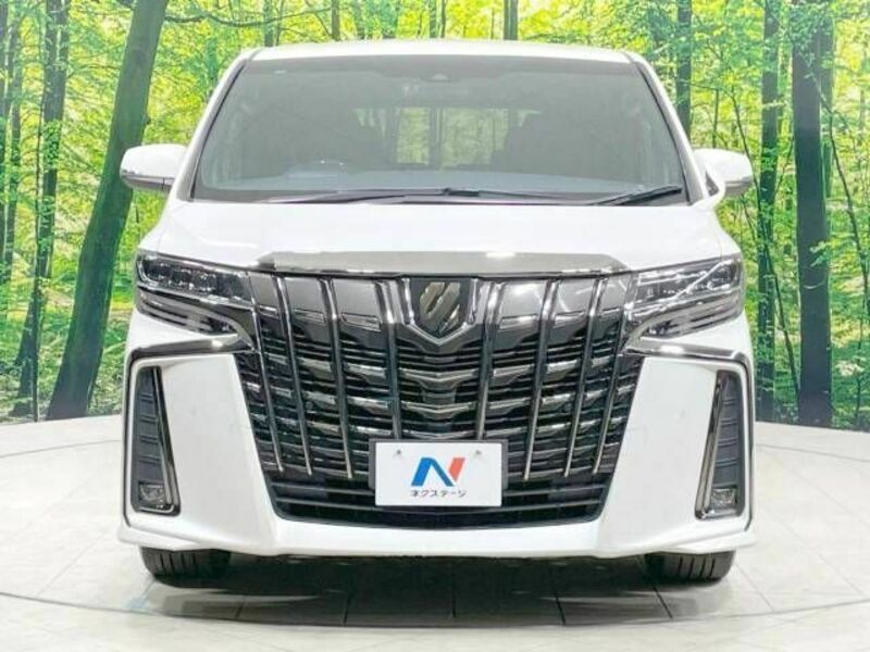 ALPHARD-15