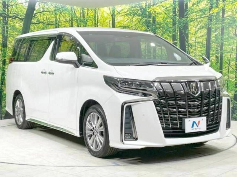 ALPHARD-17