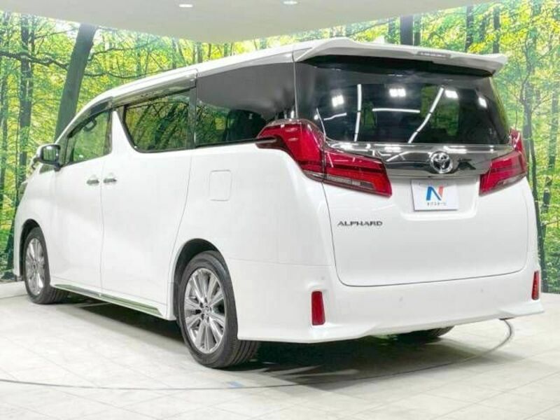 ALPHARD-18