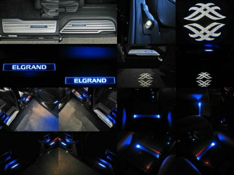 ELGRAND-20