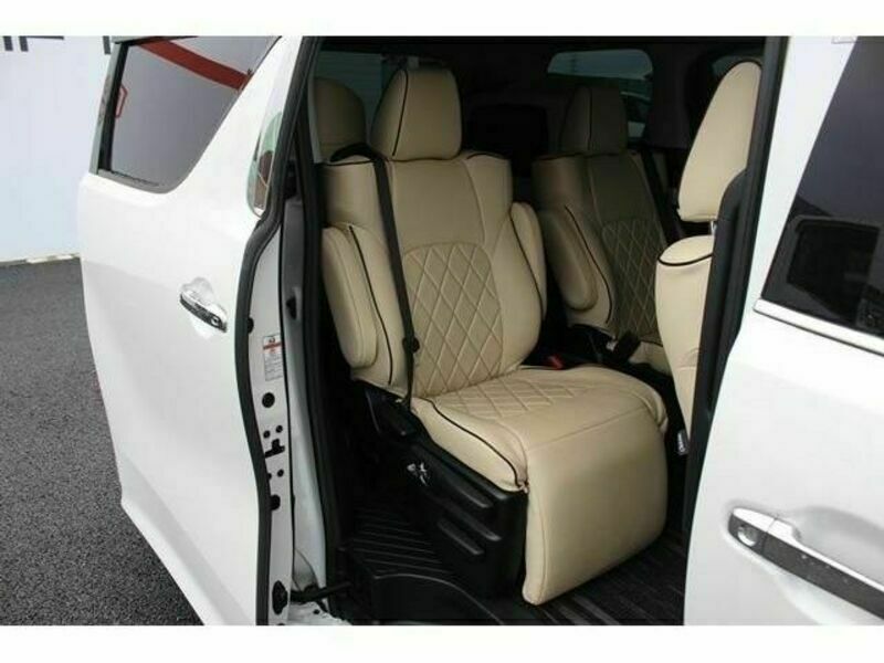 ALPHARD-13