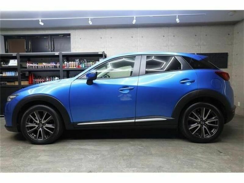 CX-3-6