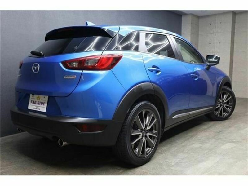 CX-3-8