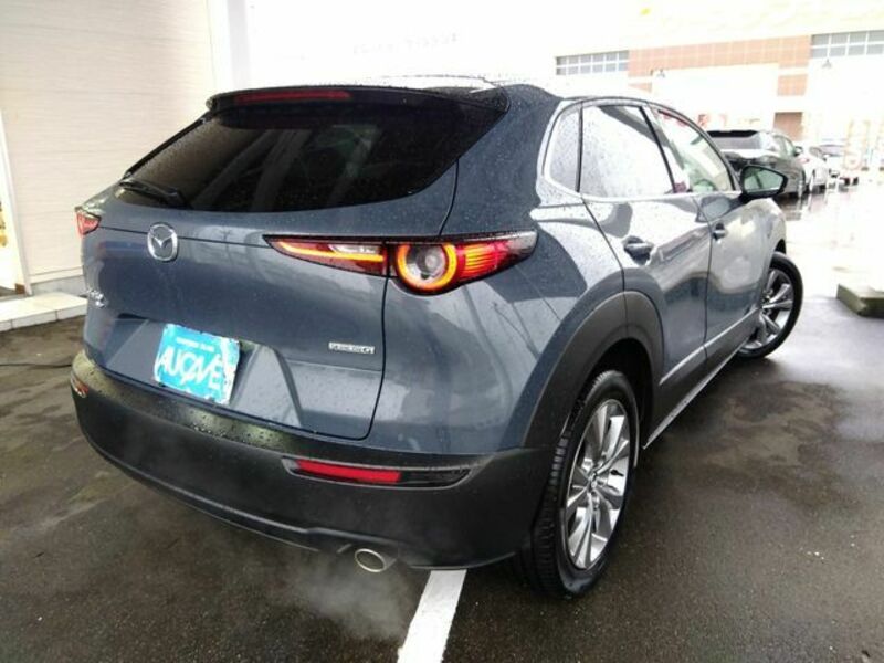 CX-30-1