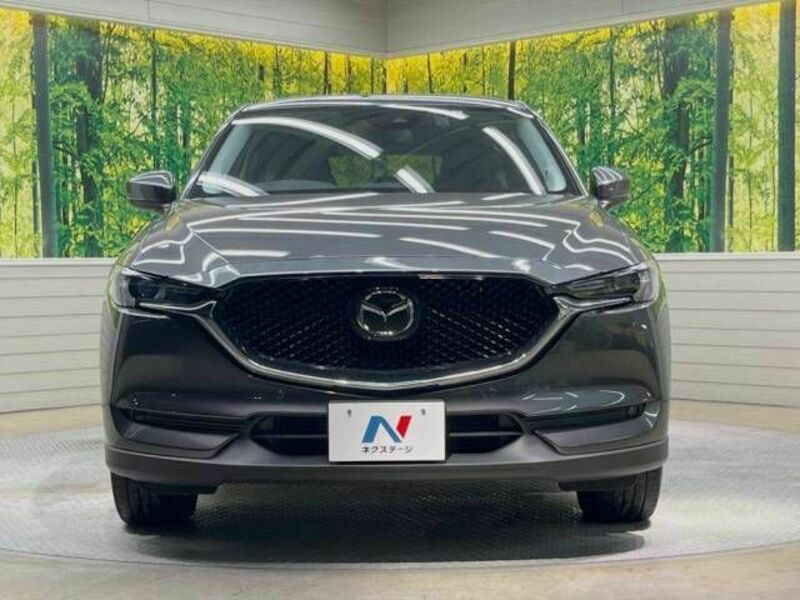 CX-5-13