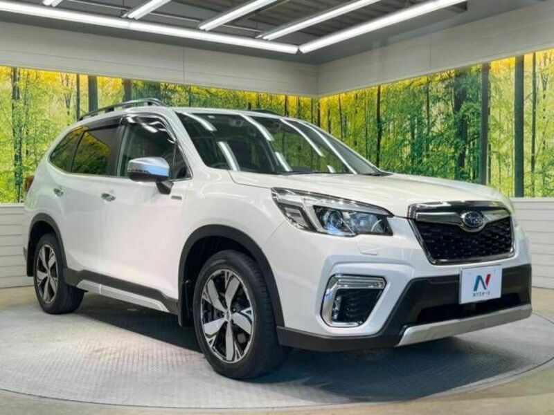 FORESTER-16