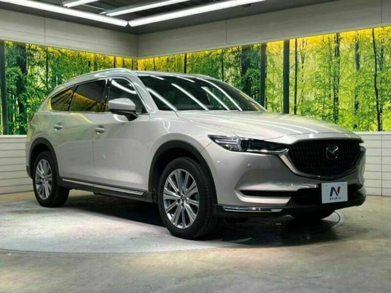 CX-8-17