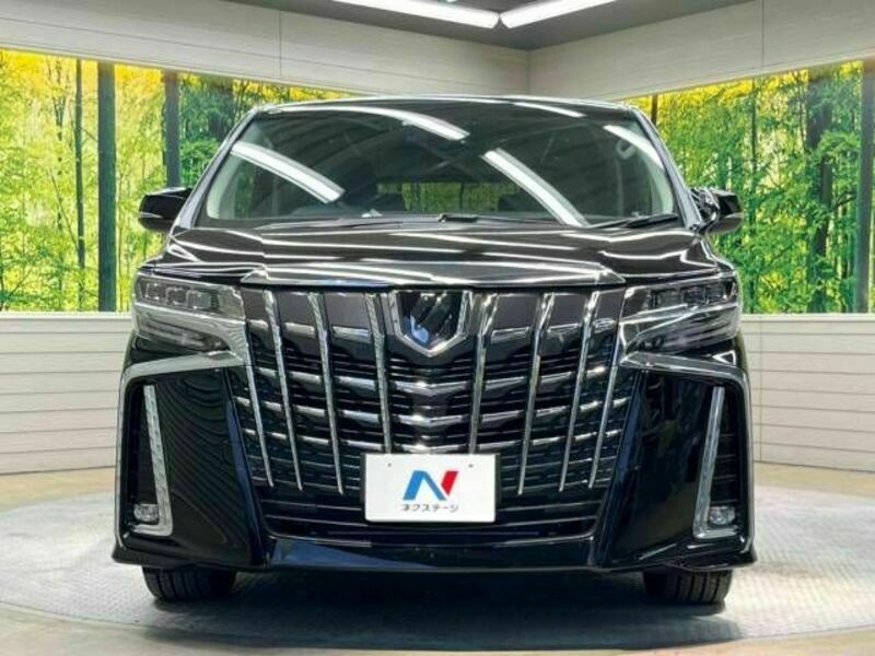 ALPHARD-15