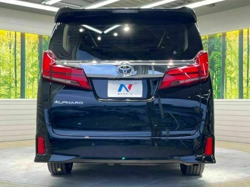 ALPHARD-16