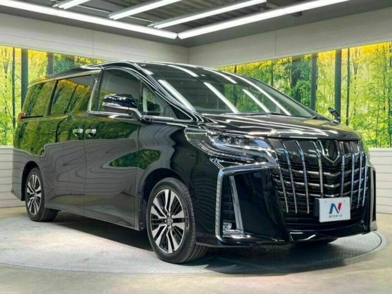 ALPHARD-17