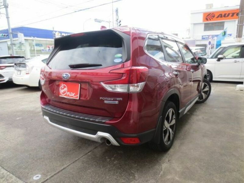 FORESTER-2