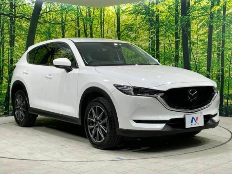 CX-5-16