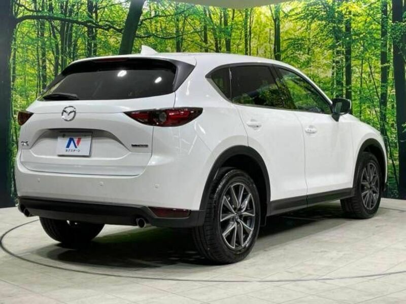 CX-5-17