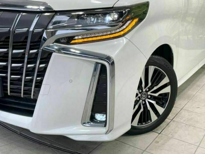 ALPHARD-13