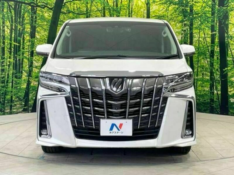 ALPHARD-15