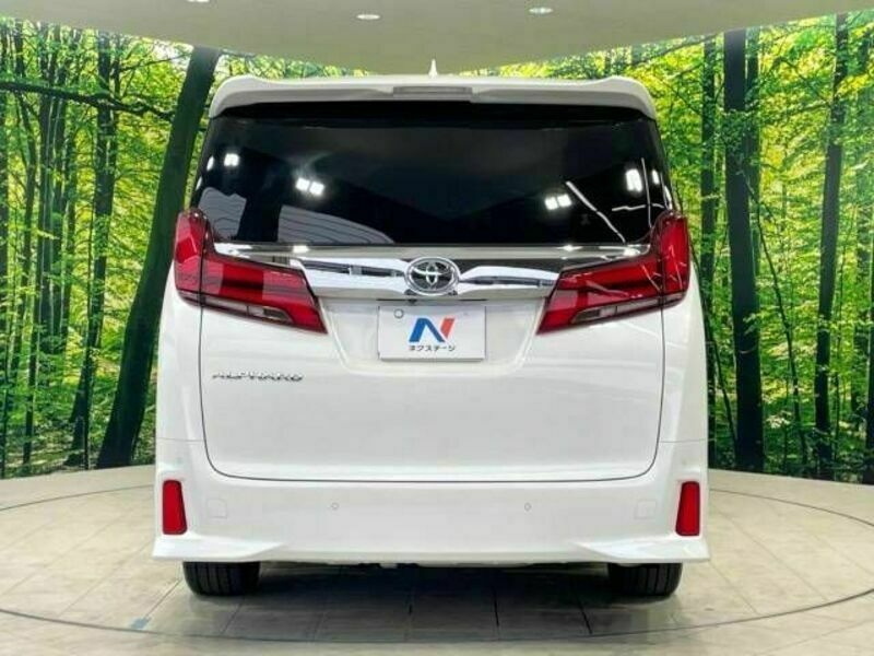 ALPHARD-16