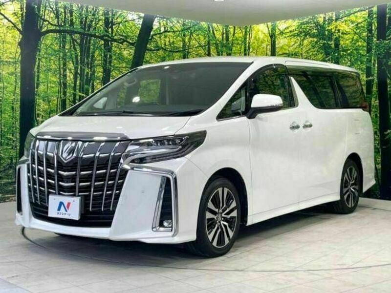 ALPHARD-17